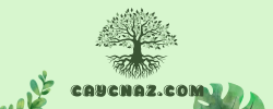 caycnaz.com